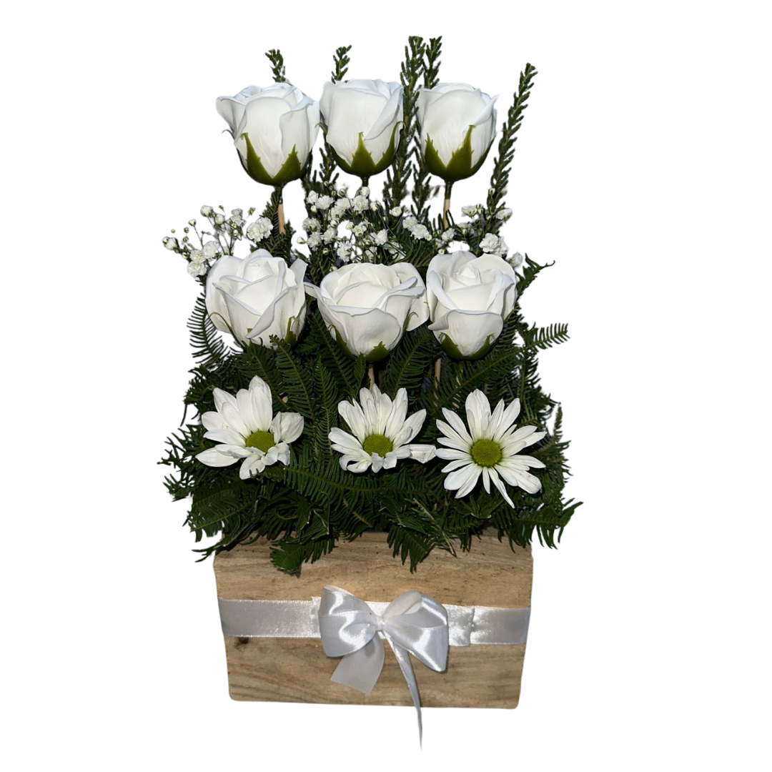 CORO 6 ROSAS Y MAULE