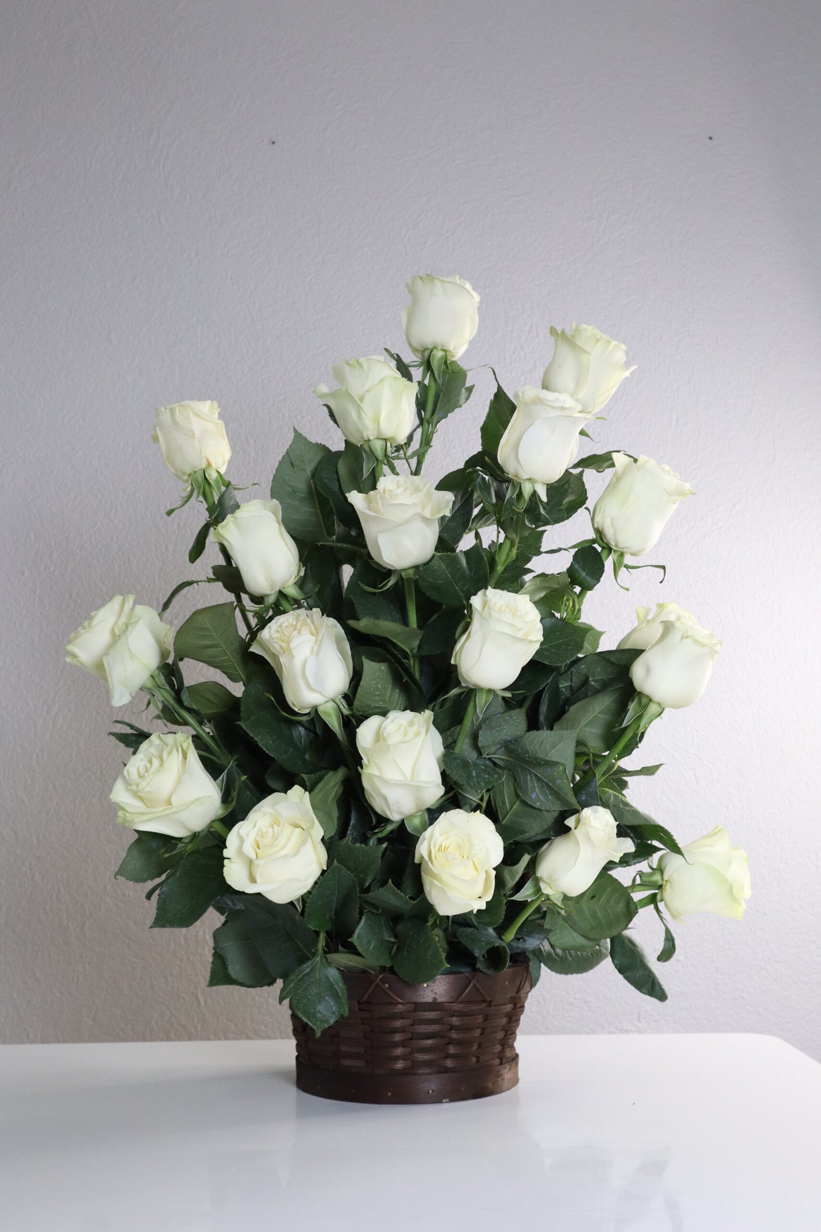 BASE 18 ROSAS BLANCAS